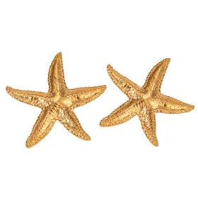 SAPHRON STARFISH EARRINGS 065